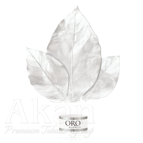 Cygara Davidoff Oro Blanco 111 Years