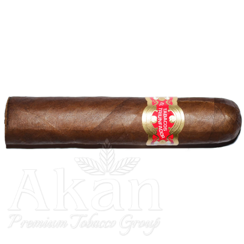 El Triunfador Petit Robusto