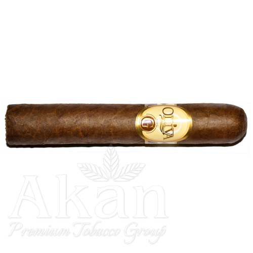 Oliva Serie G Double Robusto