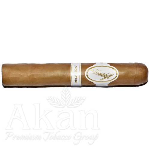 Cygara Davidoff Signature 6000