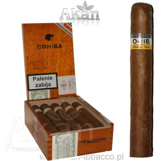 Cohiba Siglo VI