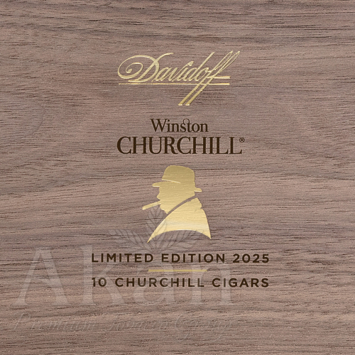 Cygara Davidoff Winston Churchill LE 2025