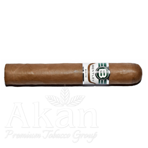 Cygara Bentley White Robusto