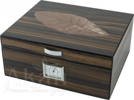 Humidor 561231