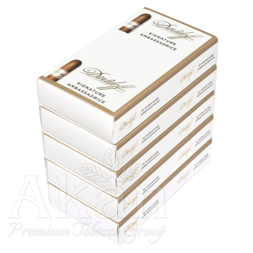 Cygara Davidoff Signature Ambassadrice (50 cygar)