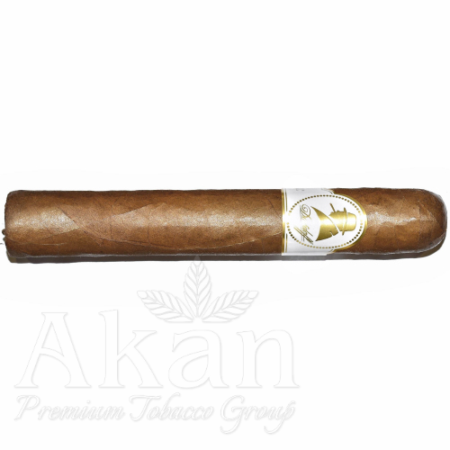 Cygara Davidoff Winston Churchill Robusto