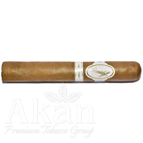 Cygara Davidoff Signature Toro