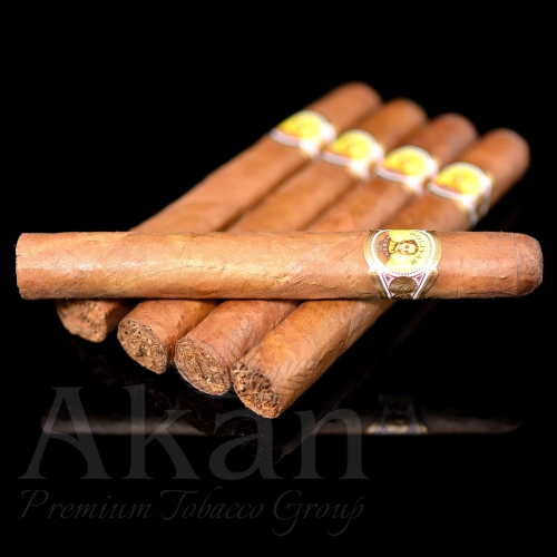 Bolivar Petit Coronas