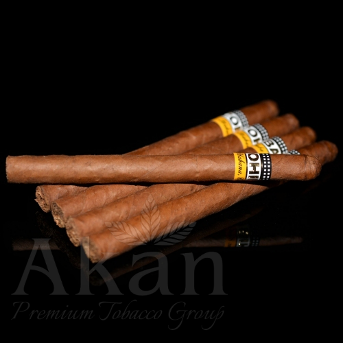 Cohiba Panetelas (5 cygar)